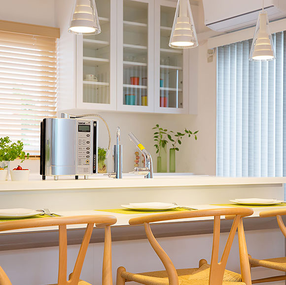 レベラックSD501 プラチナム - 图片 2